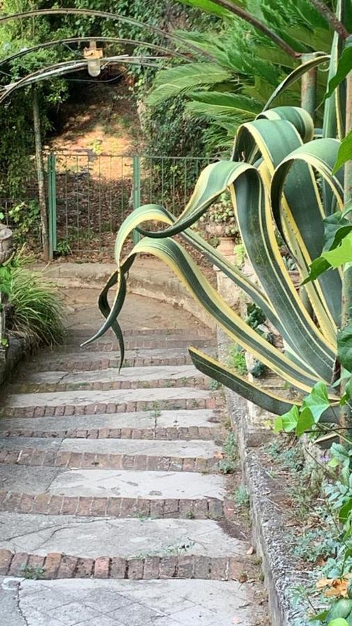 Caligo Bed & Breakfast La Spezia Exterior foto