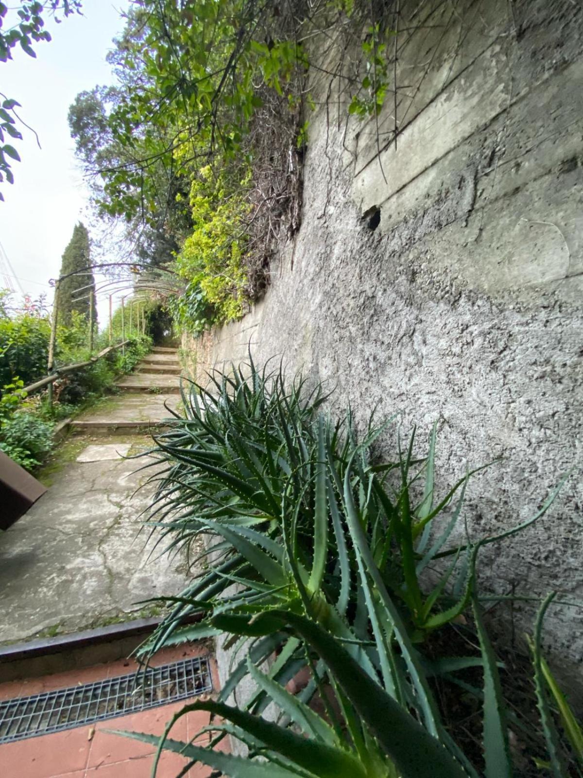 Caligo Bed & Breakfast La Spezia Exterior foto